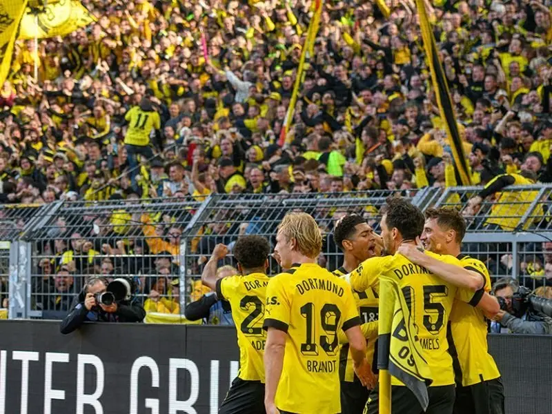 Top 99+ ảnh cổ động viên Dortmund Fans hot nhất 17