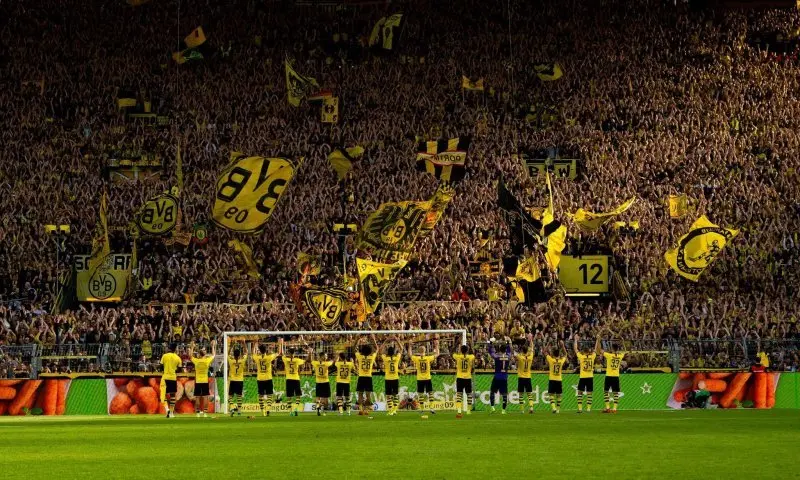 Top 99+ ảnh cổ động viên Dortmund Fans hot nhất 9