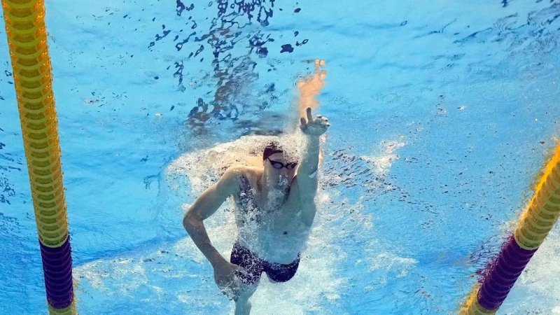 world aquatics championships 22