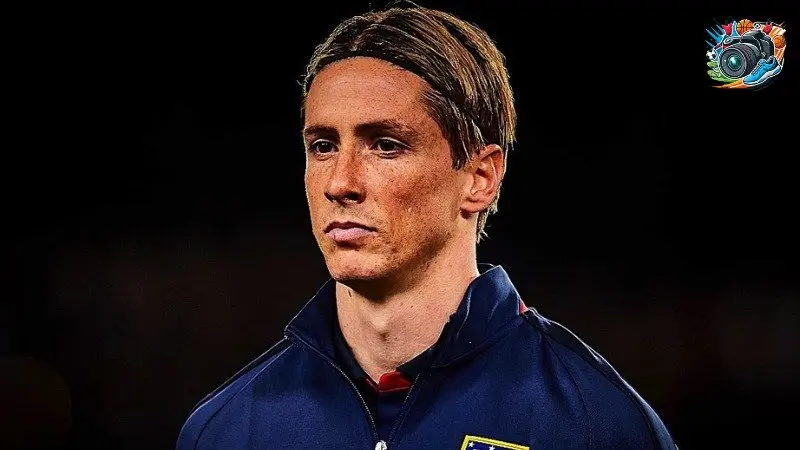 Bộ sưu tập ảnh chế Fernando Torres hài, vui nhộn mới nhất năm nay