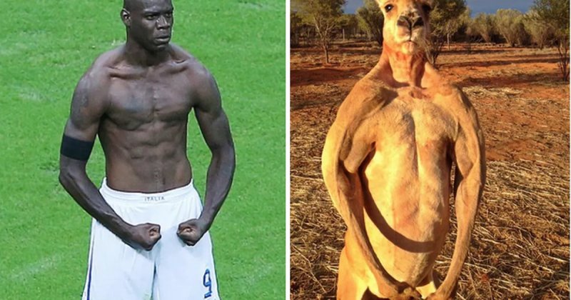 ảnh chế Mario Balotelli 1