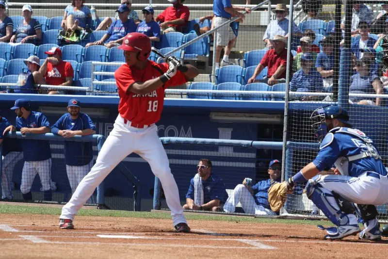 Australian Baseball League 13