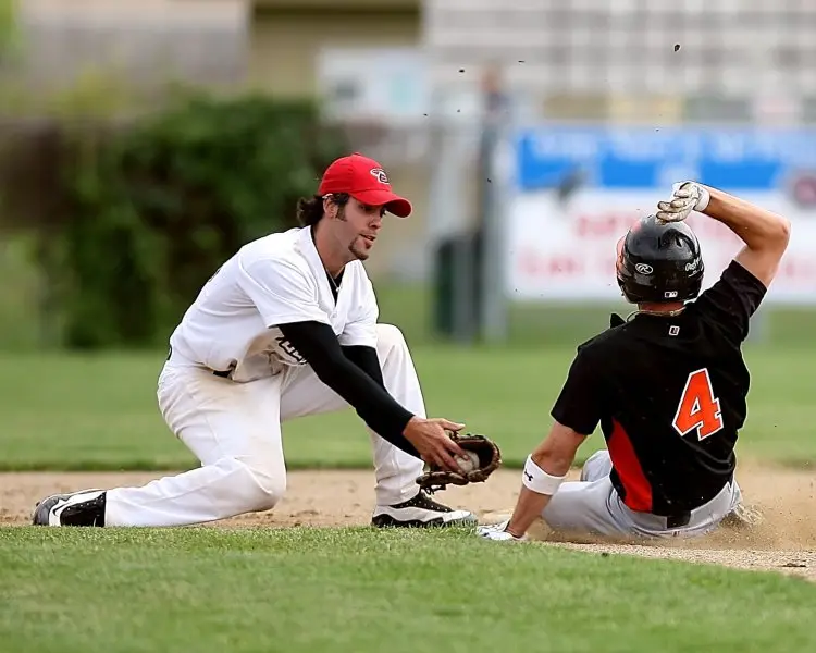  Italian Baseball League 13