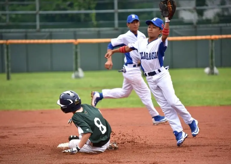 Nippon Professional Baseball 17