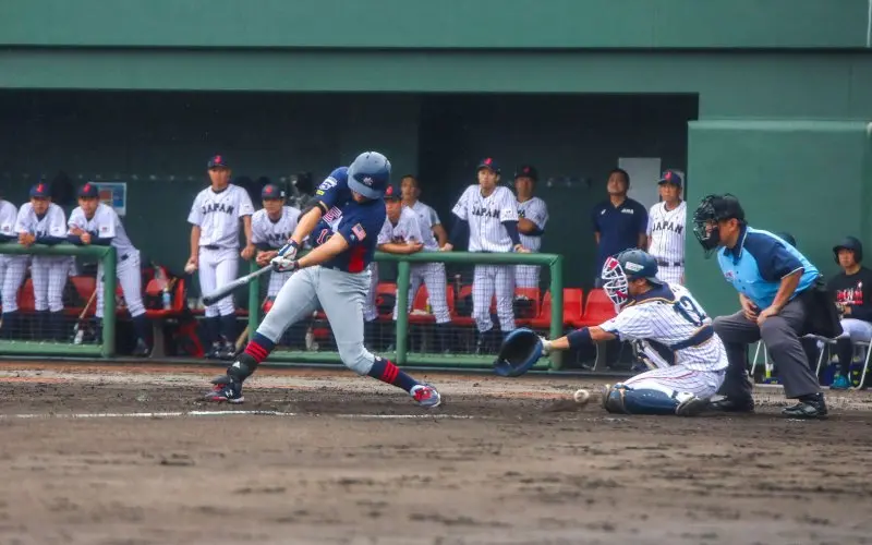 Nippon Professional Baseball 19