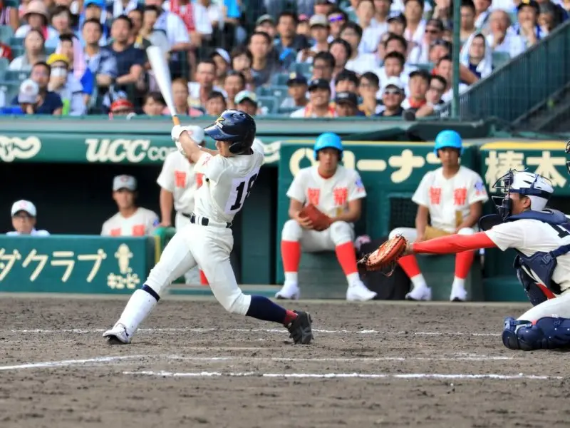 Nippon Professional Baseball 28