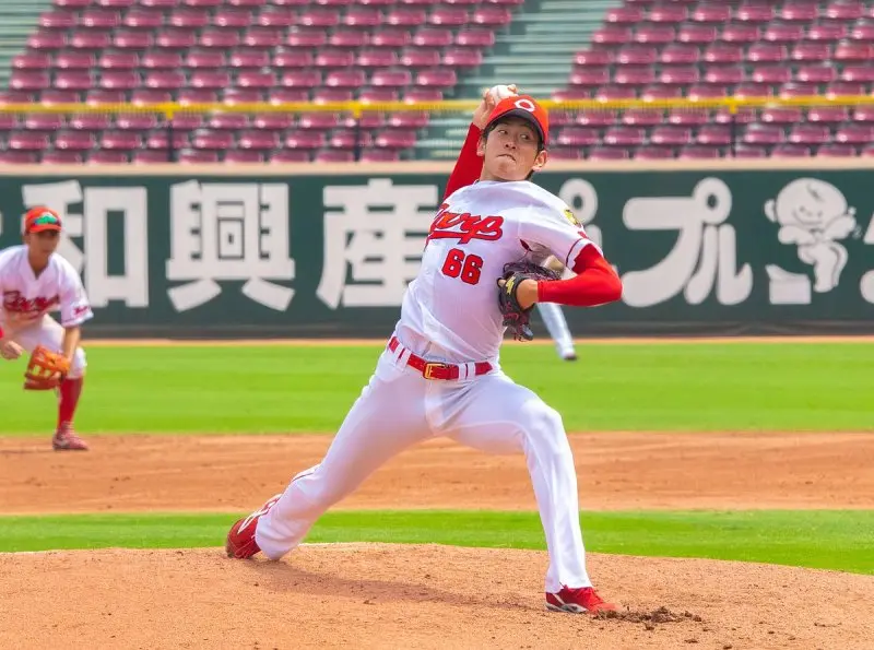 Nippon Professional Baseball 31