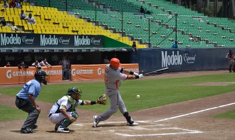 Liga Mexicana de Béisbol 13