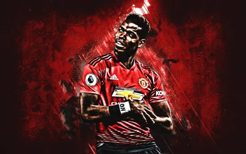 ảnh chế Paul Pogba 7