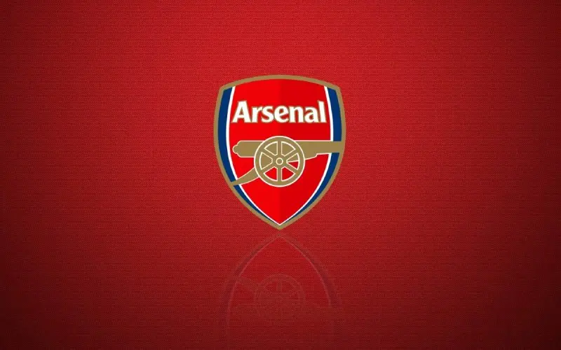 Ảnh Arsenal 29