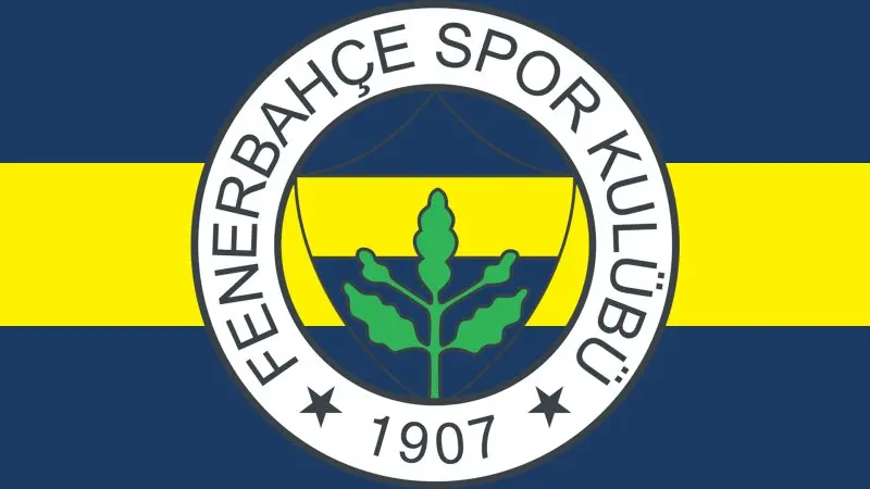 Ảnh Fenerbahce 15