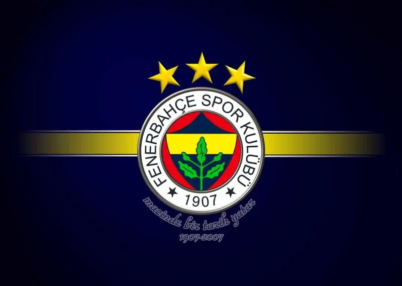 Ảnh Fenerbahce 41