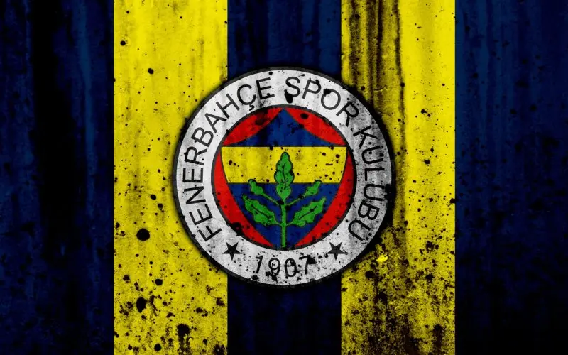 Ảnh Fenerbahce 70