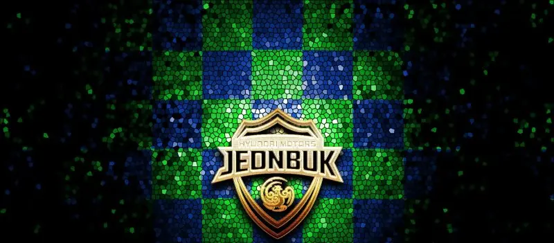 Jeonbuk Hyundai Motors 29