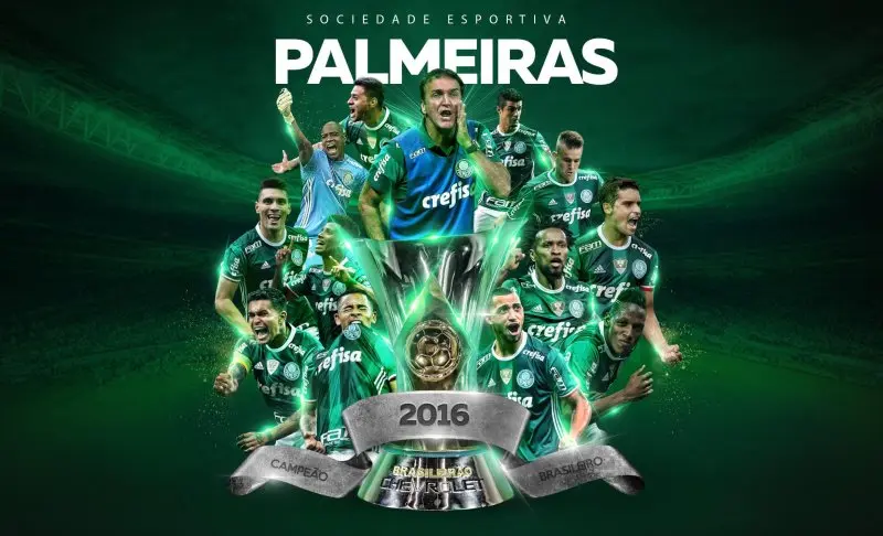 Palmeiras 07