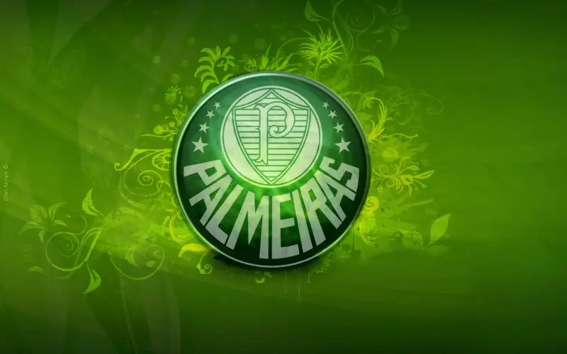 Palmeiras 24