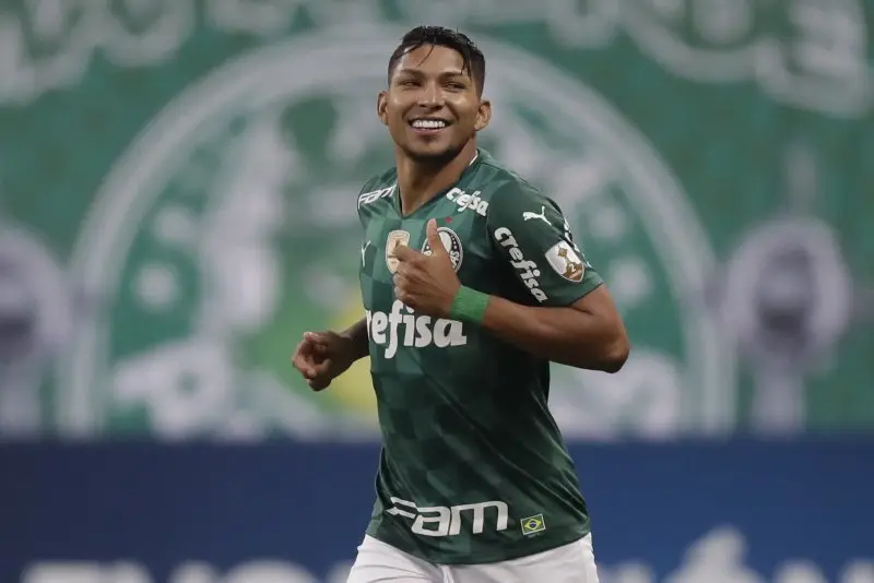 Palmeiras 01