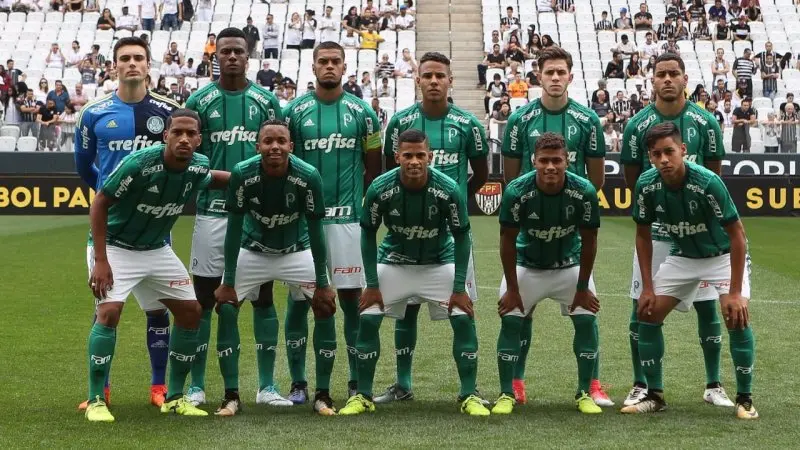 Palmeiras 03