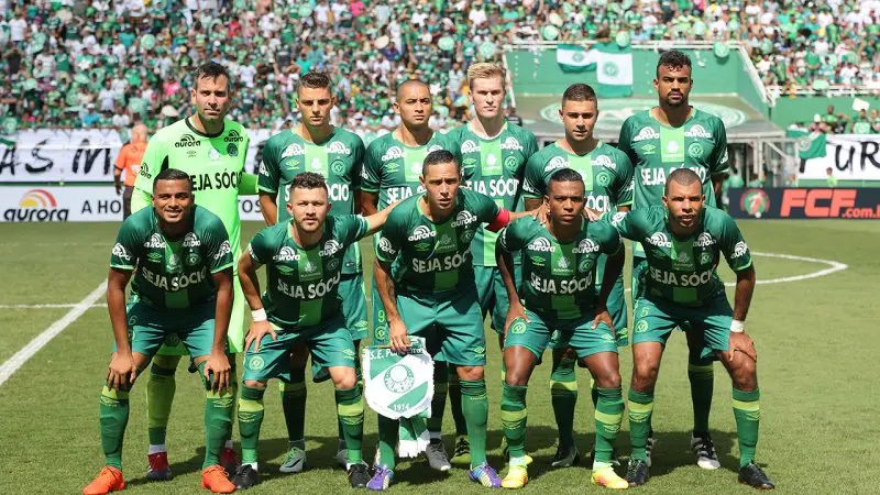 Palmeiras 04