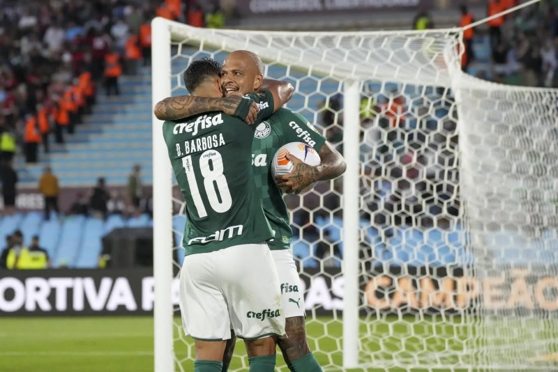 Palmeiras 11