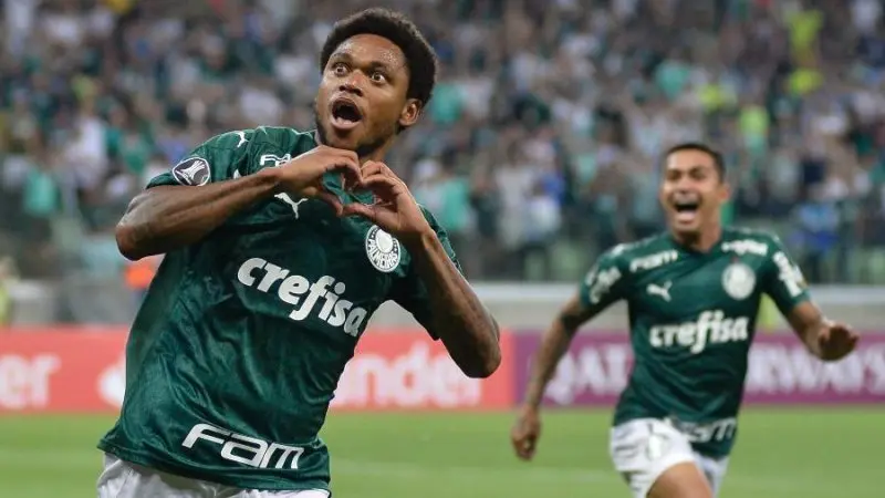 Palmeiras 29