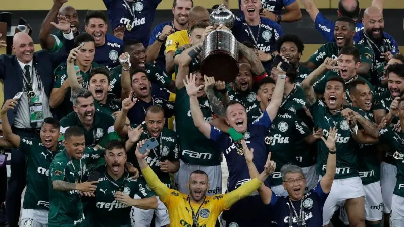 Palmeiras 46