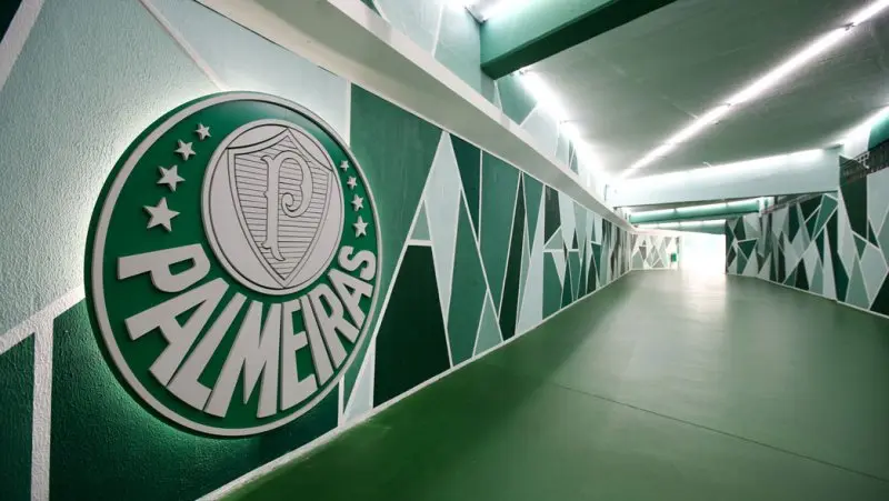 Palmeiras 50