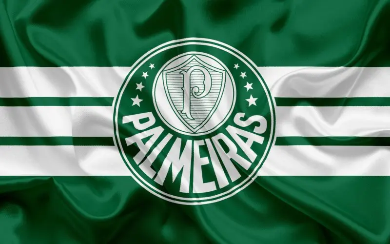 Palmeiras 48