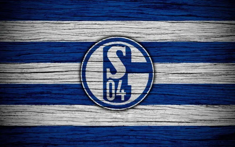 Schalke 04 17