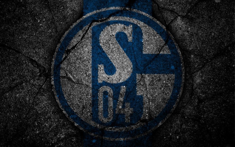 Schalke 04 22