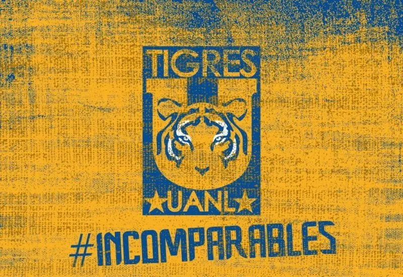 Tigres UANL 14