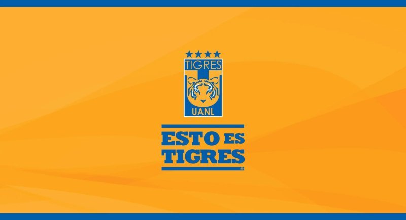 Tigres UANL 47