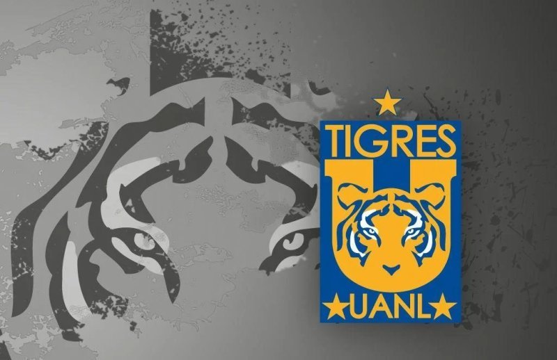 Tigres UANL 49