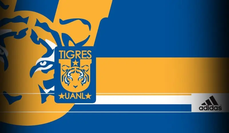 Tigres UANL 20