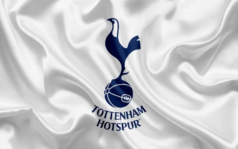 Ảnh Tottenham Hotspur 18