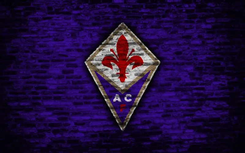 Ảnh Fiorentina 15