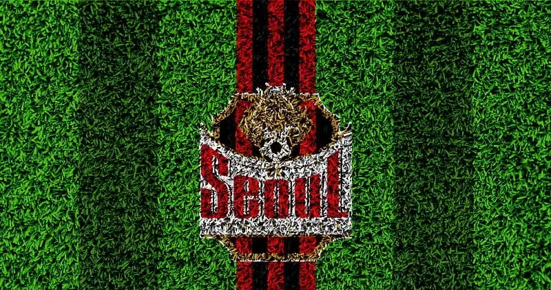 FC Seoul 29