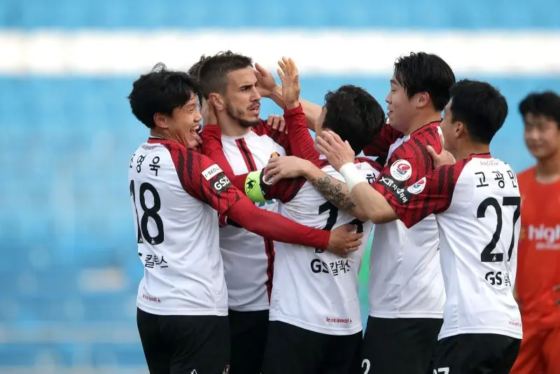 FC Seoul 15