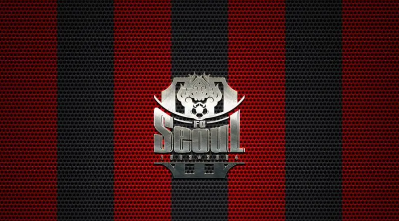 FC Seoul 41