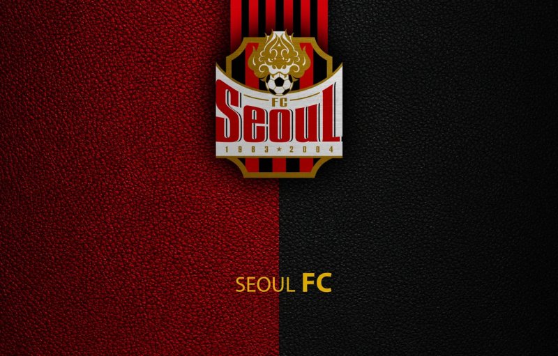 FC Seoul 44