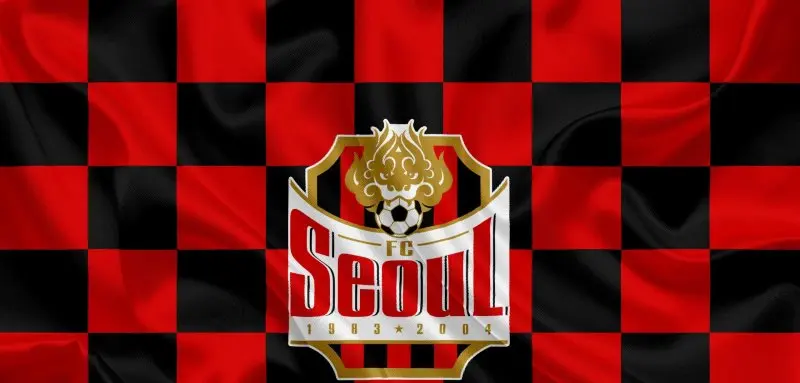 FC Seoul 22