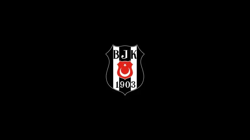 Besiktas 31