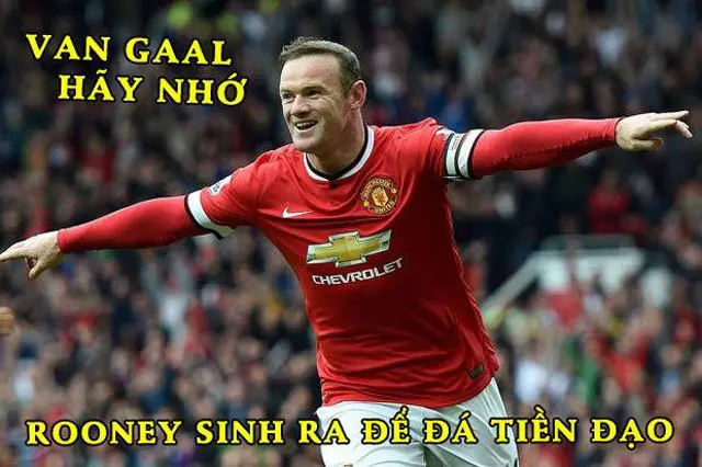 ảnh chế Wayne Rooney 20