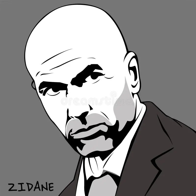 ảnh chế Zinedine Zidane 32