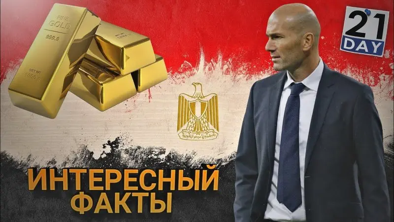 ảnh chế Zinedine Zidane 27