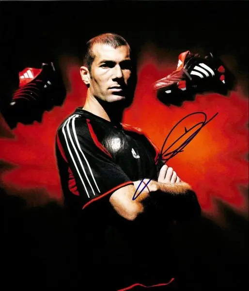 ảnh chế Zinedine Zidane 15