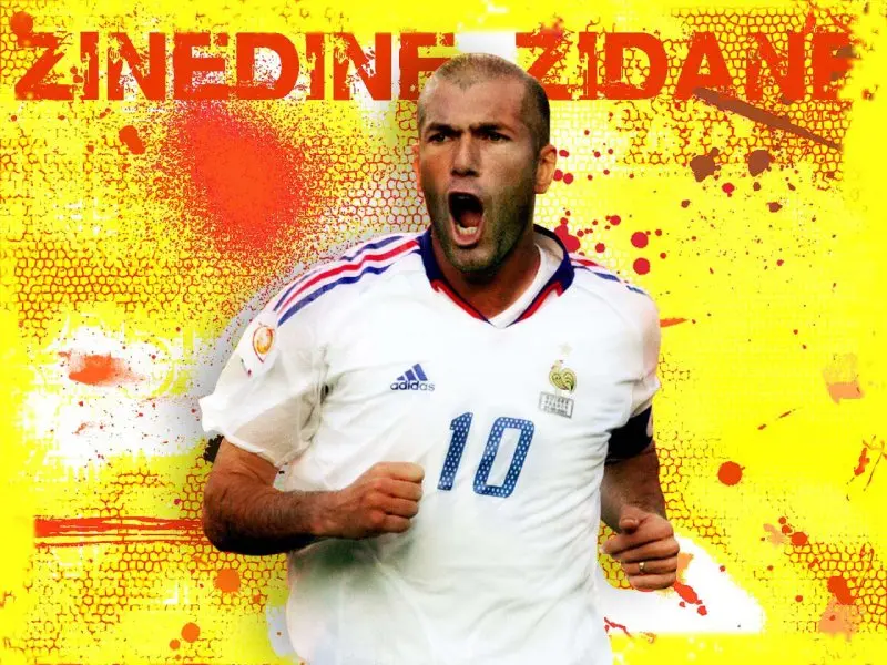 ảnh chế Zinedine Zidane 10