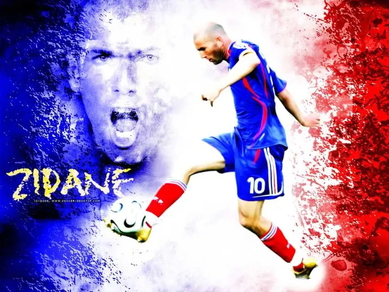 ảnh chế Zinedine Zidane 9