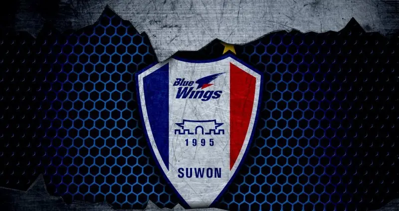 Suwon Samsung Bluewings 46