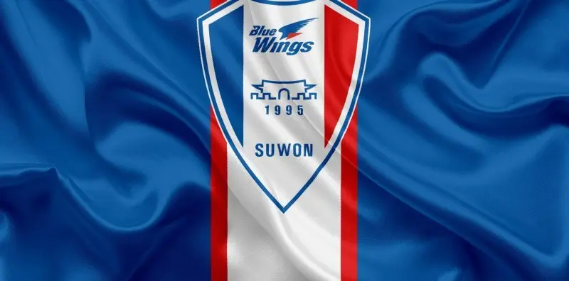 Suwon Samsung Bluewings 48